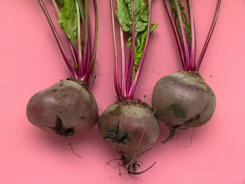 Is Urine Discoloration by Beets Abnormal or Normal?